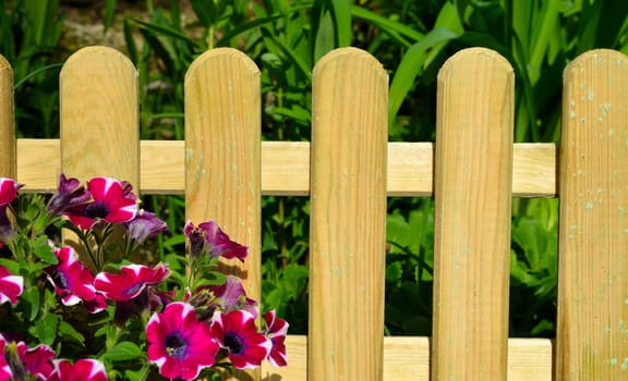 Garden fence board