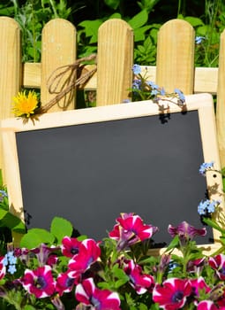 Garden fence board