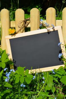 Garden fence board