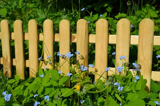 Garden fence board