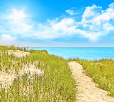Path to the baltic sea on a sunny day