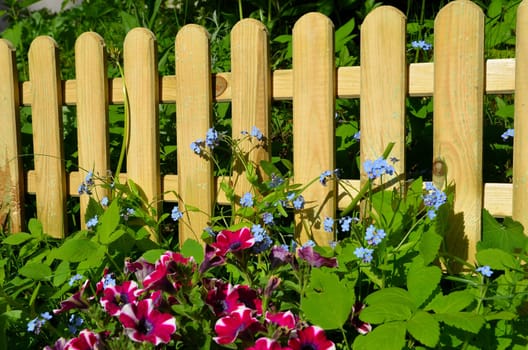 Garden fence board