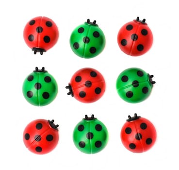 Group of ladybugs, isolated on white background