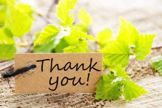 a natural looking label with thank you and green leaves and wood as background