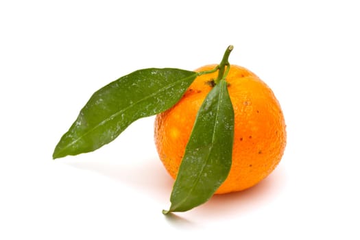 Ripe tangerine on white background