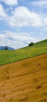 Wooden boards as text background with mountain landscape