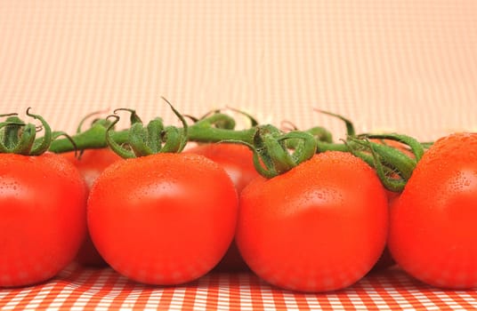 Vine tomatoes