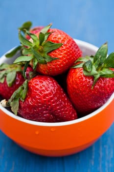 Closeup of large fresh strawberries in orange bowl against light blue background
