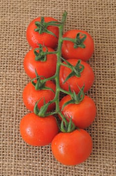 Vine tomatoes