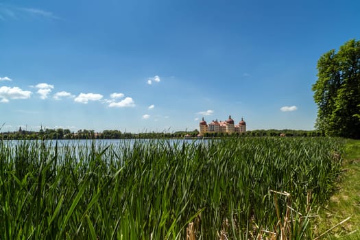 Moritzburg