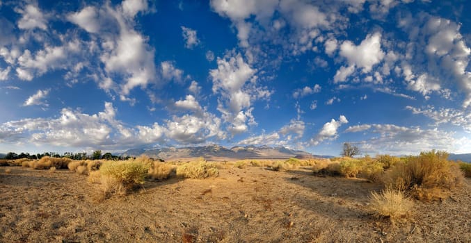 Sunrise in Owens Valley at the foot of Sierra Nevada,Owens Valley,Bishop,California,USA,North America