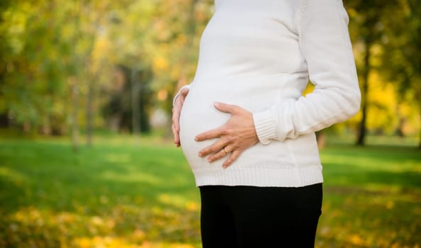 Detail of pregnant woman holding belly outdoor in nature