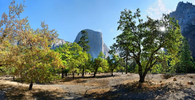 Yosemite National Park in California,USA