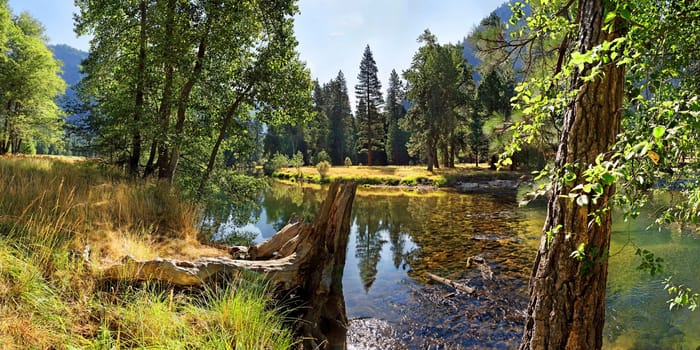 Yosemite National Park in California,USA