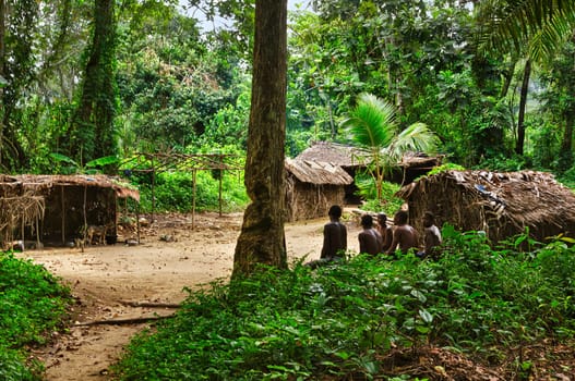 In the pygmy village