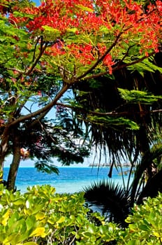 Durchblick ins Paradies