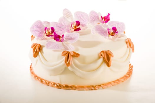 Tasty cake in white marzipan coating with orchid flower decoration