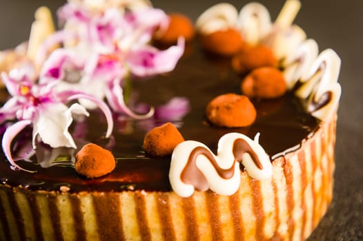Tastefully decorated cake with chocolate coating and flower decoration