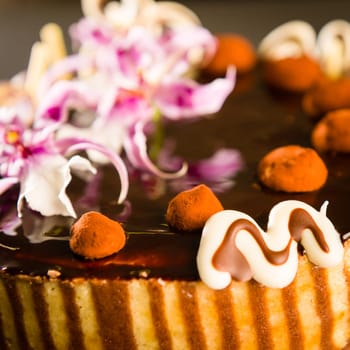 Richly decorated cake with chocolate coating and truffles on top