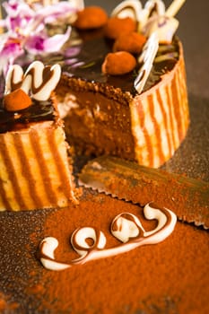 Decorated chocolate cake with knife and cocoa powder