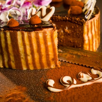 Layered chocolate cake and knife with cocoa powder