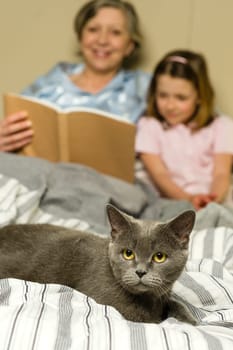 Senior woman and granddaughter reading lying in bed with cat