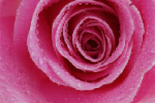 rose mosaic