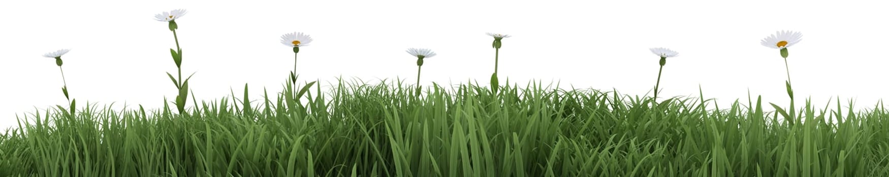 3D render of summer flowers in bloom