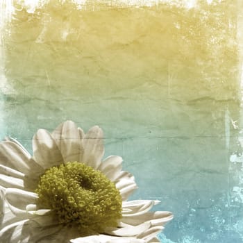 Grunge daisy background