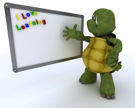 3D render of a tortoise with White class room drywipe marker board