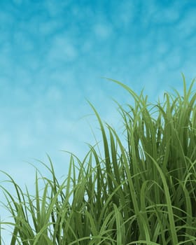 3D render of Spring Grass on Blue Sky