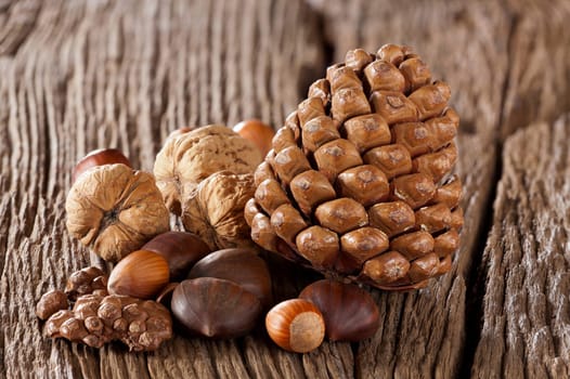 Different types of nuts,chestnuts and pine cones on a rustic wooden surface