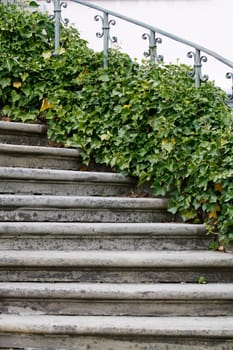 Stone stairs