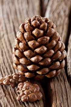Opened pine cone on a rustic wooden plate