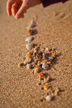 Closeup of hand of young girl playing with shells on beach
