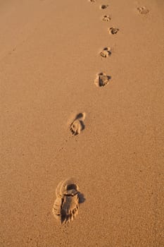 Trail of footprints in smooth sand on beach