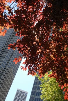 Embarcadero Center in San Francisco