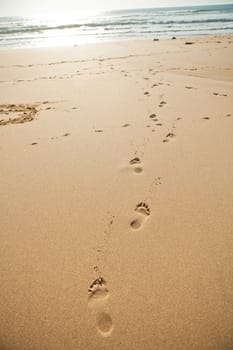 Footprints in the sand on the beach on a sunny day