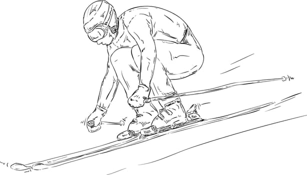 vector - skiing downhill race - isolated on background