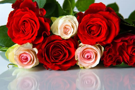 Roses