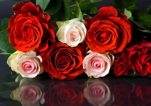 Roses
