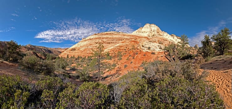 Zion National Park