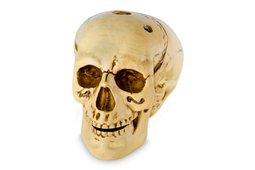 Human skull with cropping path on white background