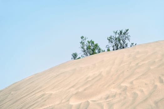 Death Valley,California,USA