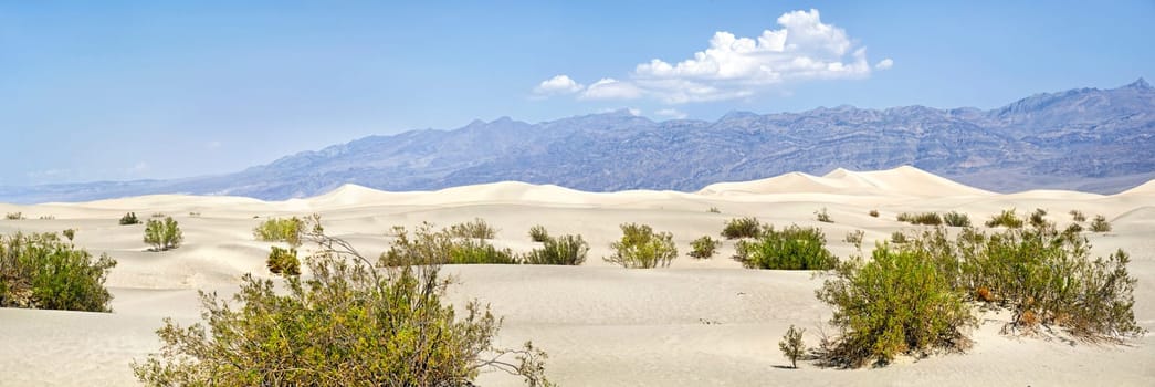 Death Valley,California,USA