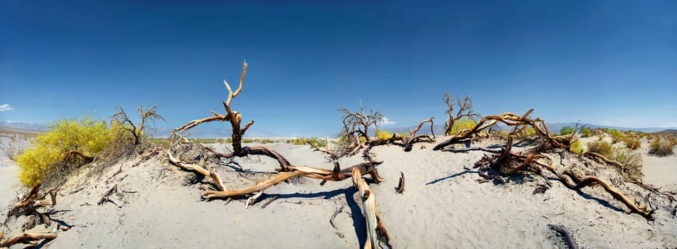 Death Valley,California,USA