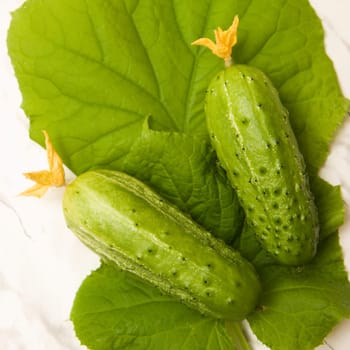 Photo of two cucumbers lying on leaves