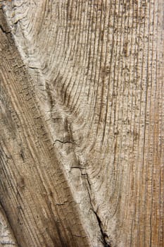 Photo of structure of a wooden surface