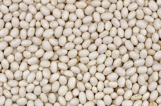white beans background close-up