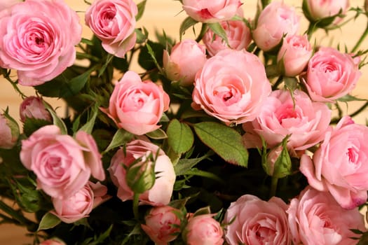 Bunch of small pink Roses, close up.